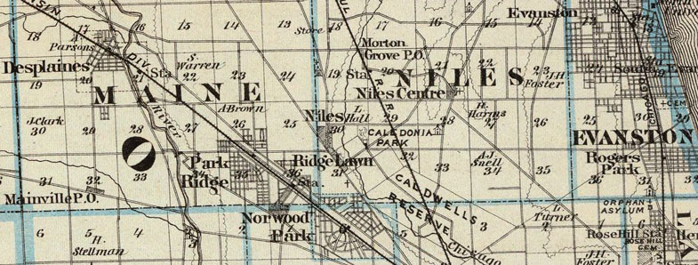Detail of Kane, DuPage and Cook County, Illinois 1876 Historic Map Reprint by Union Atlas Co., Warner & Beers