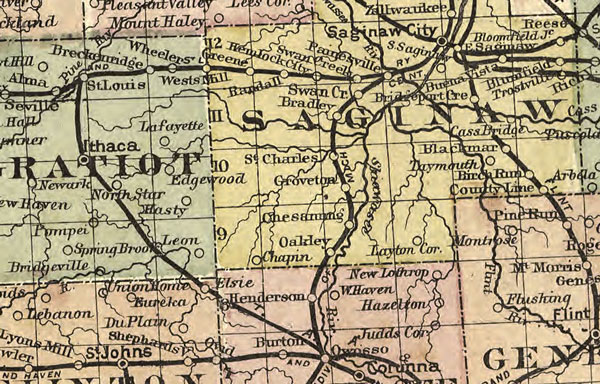 Michigan State 1885 H. R. Page Historic Map detail