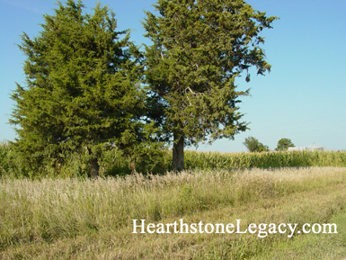 Peacock Cemetery near Higginsville, Missouri Lafayette County, MO 01