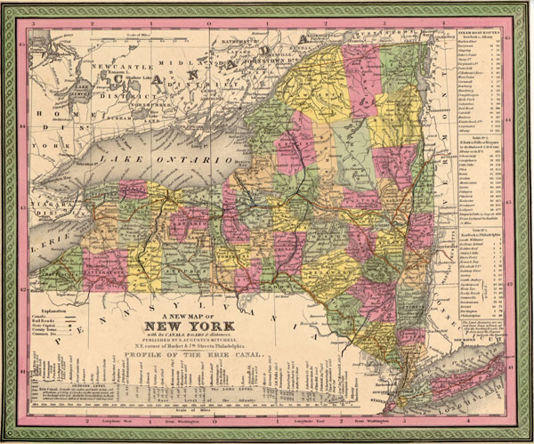 New York State 1849 Mitchell Historic Map Reprint