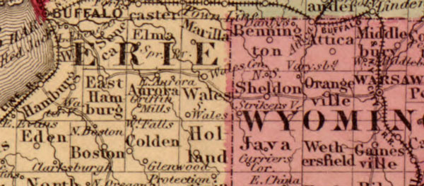 New York State 1862 Johnson & Ward Historic Map detail